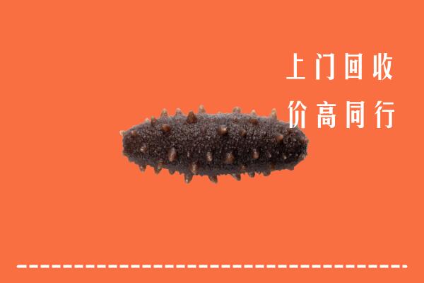 武汉市汉南区回收海参