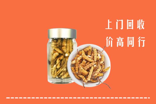 武汉市汉南区回收冬虫夏草